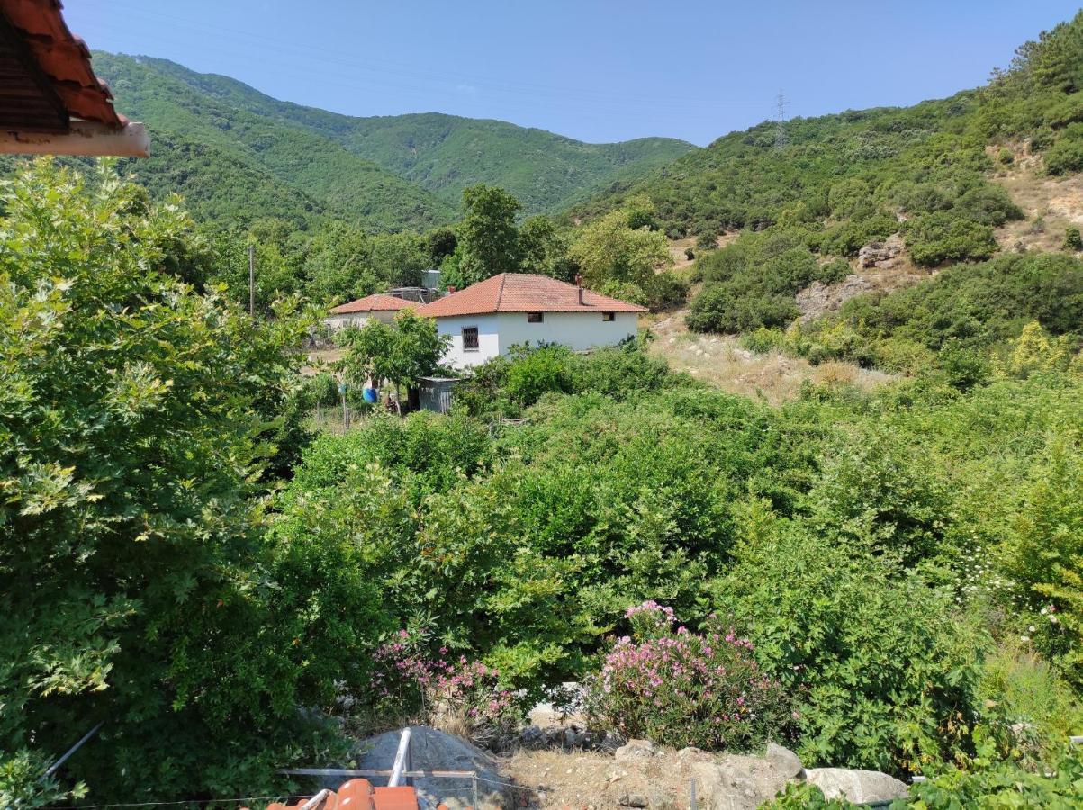 Verde Rete Apartments Ano Stavros Экстерьер фото